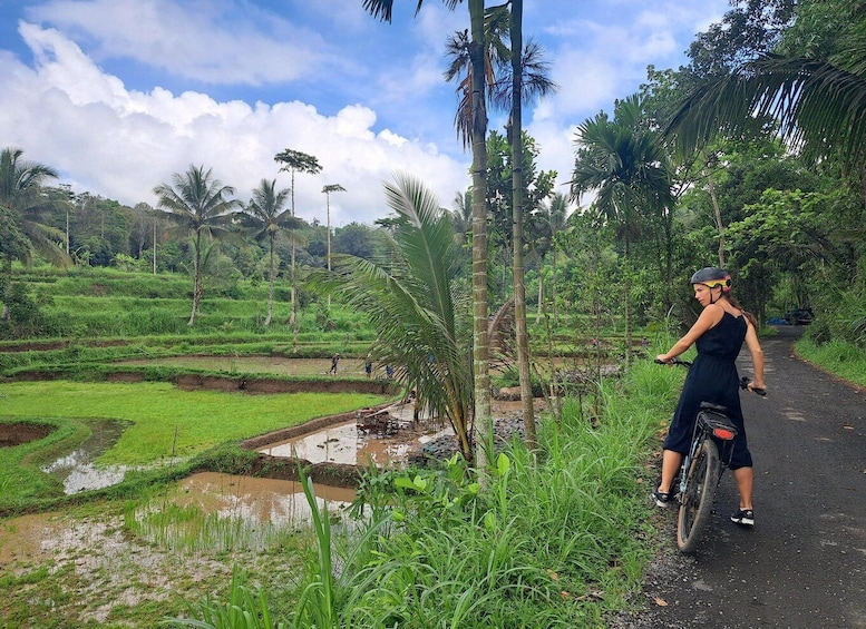 A person riding a bicycle on a rural path surrounded by lush greenery and rice paddies. 5