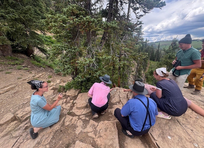 A group of people sitting on a rocky surface outdoors, surrounded by trees. 2