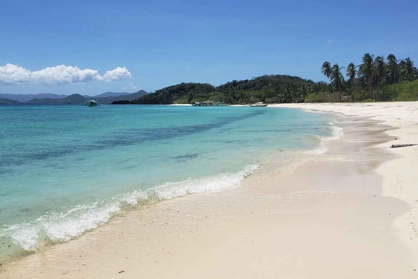 A beach with clear turquoise water, a sandy shore, and a line of palm trees. 3