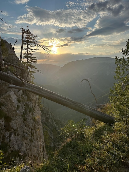 A mountain landscape with a fallen tree, rocky terrain, and a sunset in the background. 4