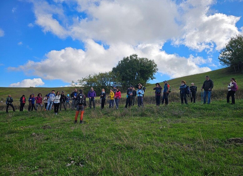 A group of people standing on a grassy hill with a tree and a clear sky in the background. 2