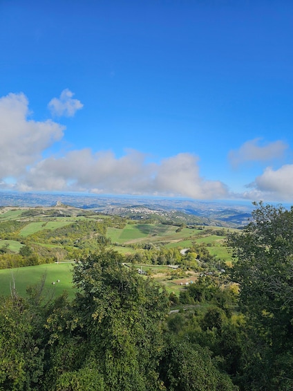 A panoramic view of a lush green valley with rolling hills, scattered trees, and a clear blue sky with clouds. 5