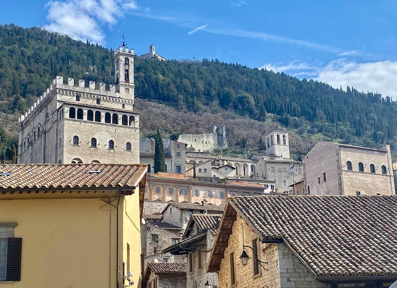 A historic town with stone buildings, a prominent tower, and a forested hill in the background. 1