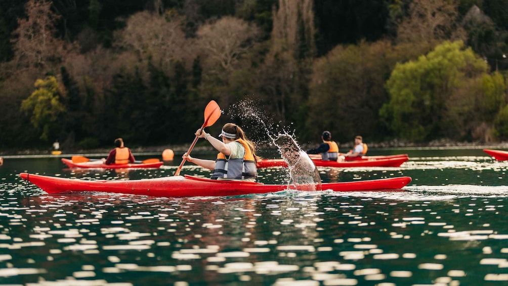 People kayaking on a calm body of water with trees in the background. 1