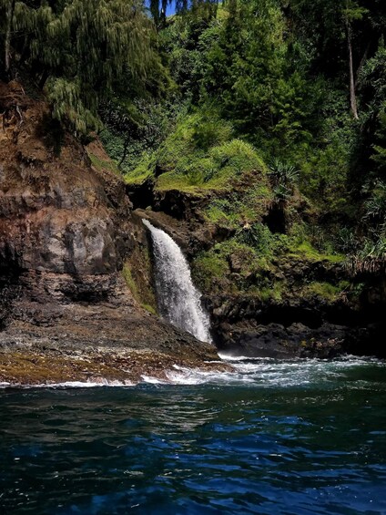 A waterfall cascading down a rocky cliff into a body of water, surrounded by dense green foliage. 1
