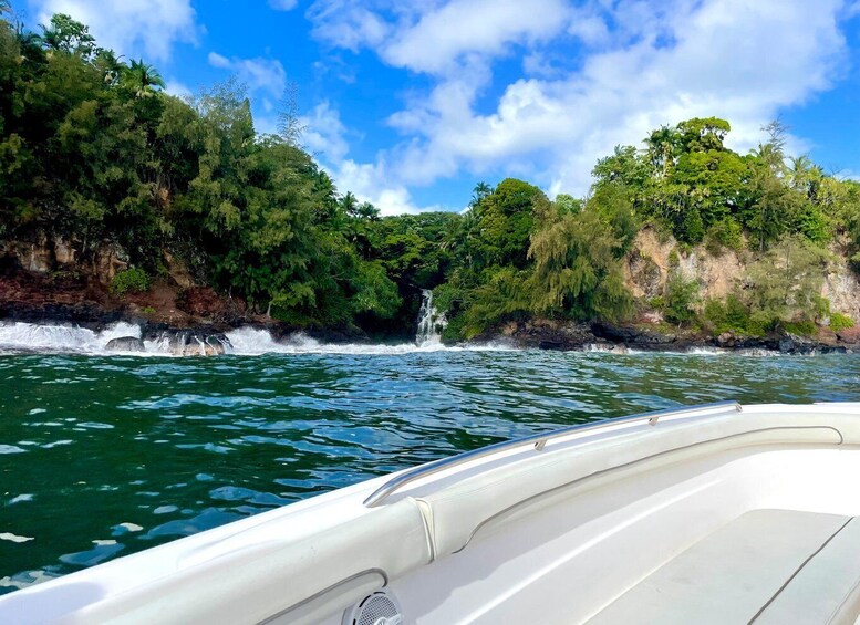 A boat on a river with a waterfall and dense greenery on the banks. 5