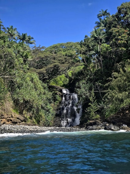 A waterfall cascading down a rocky cliff surrounded by dense tropical foliage. 3