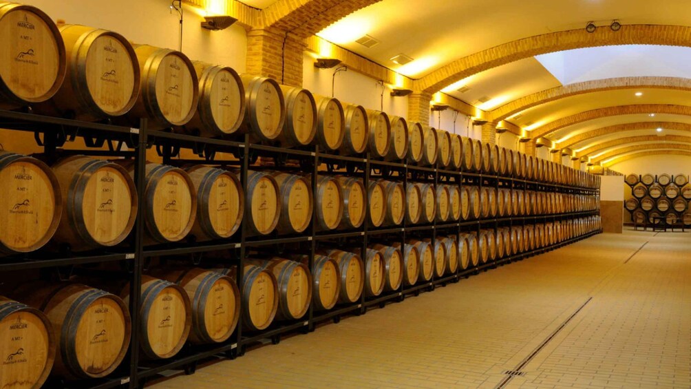 A wine cellar with rows of wooden barrels. 2