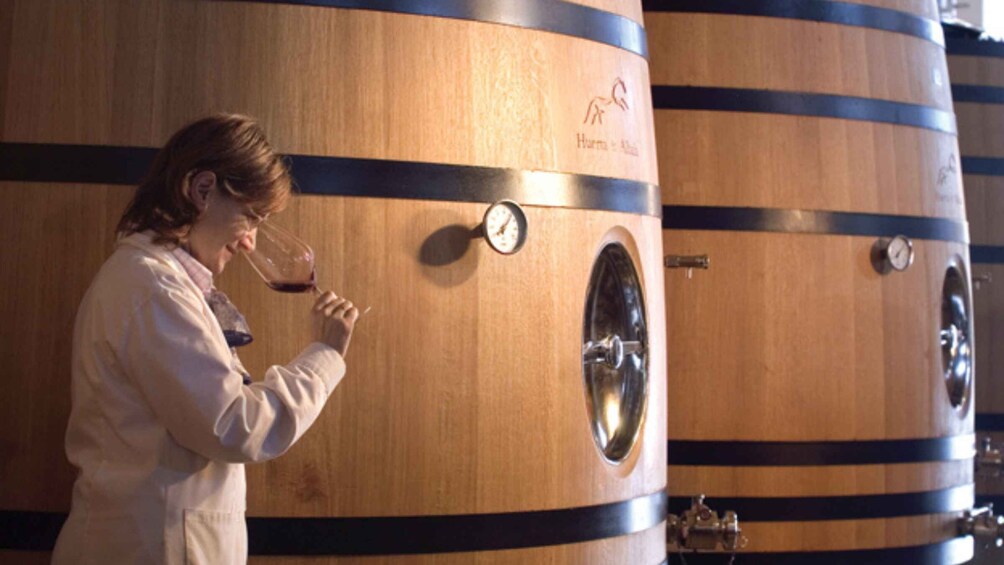 A person inspecting wine barrels in a winery. 3