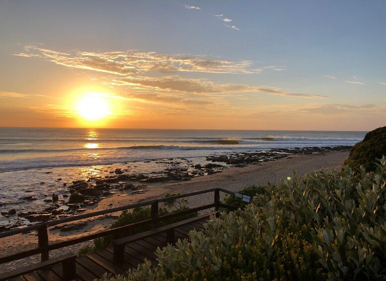 A sunset over a rocky beach with a wooden walkway and vegetation. 3