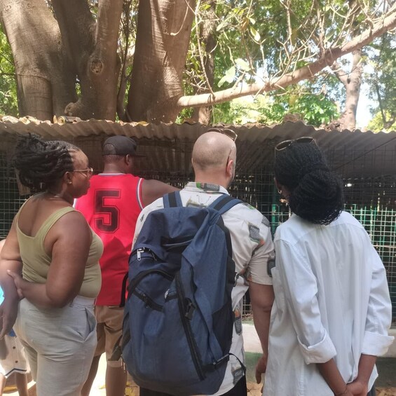 A group of people standing near a tree with a metal fence in the background. 5