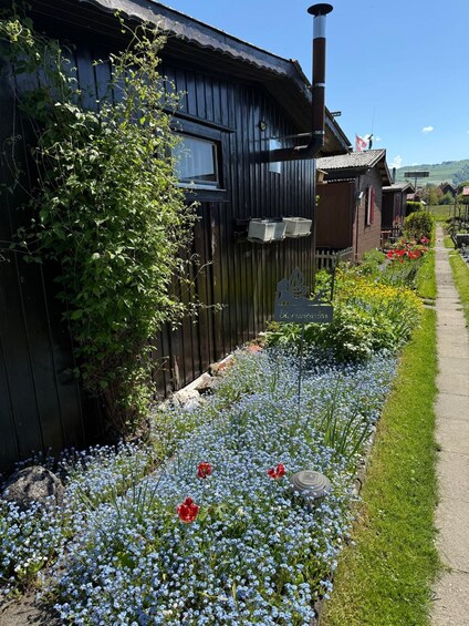 A wooden house with a chimney, surrounded by a garden with blue and red flowers, and a clear sky. 2