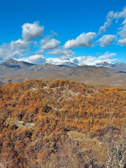 A mountainous landscape with autumn-colored trees and snow-capped peaks under a clear blue sky. 4