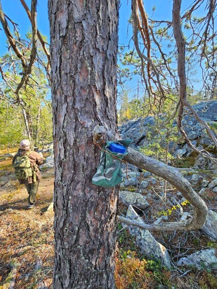 A tree with a hanging bag and a backpack in a forested area with rocky terrain. 2