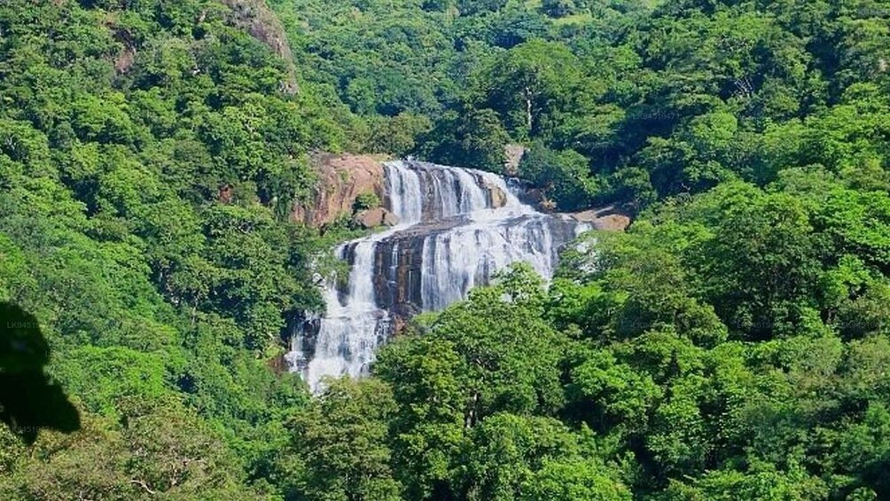 A waterfall surrounded by dense green forest. 2