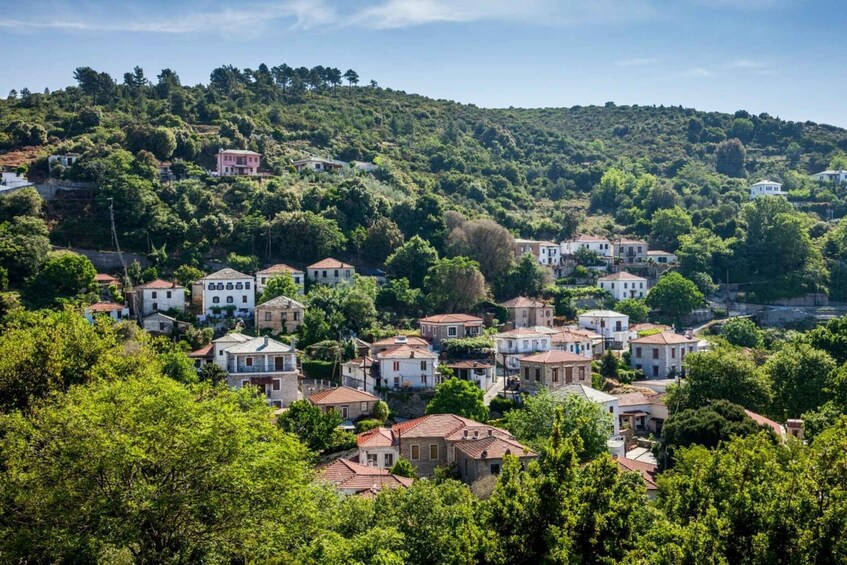 A hillside village with traditional architecture and lush greenery. 5