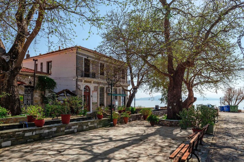 A coastal town with a historic building, potted plants, a bench, and a view of the sea. 2