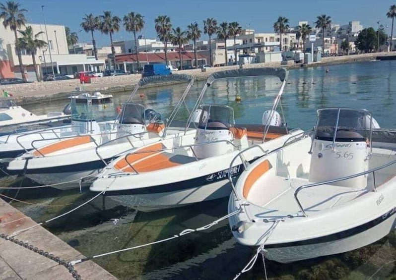 A marina with several small boats docked, palm trees, and buildings in the background. 1