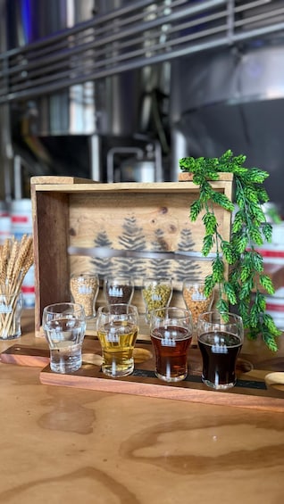 A wooden tray with shot glasses containing different beverages, a small potted plant, and decorative items. 5