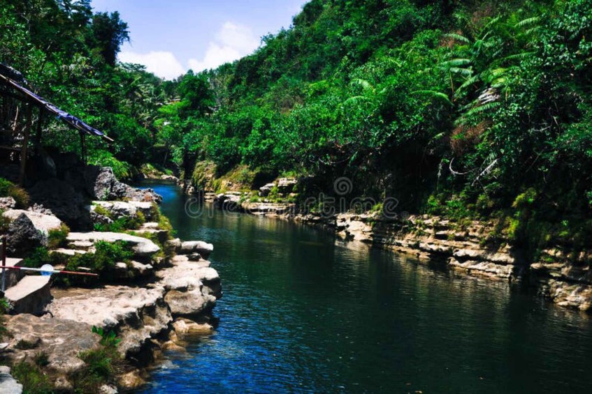 A river flowing through a forested area with rocks and greenery. 3