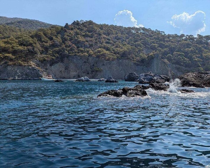 A coastal landscape with rocky outcrops and a forested hill in the background. 5