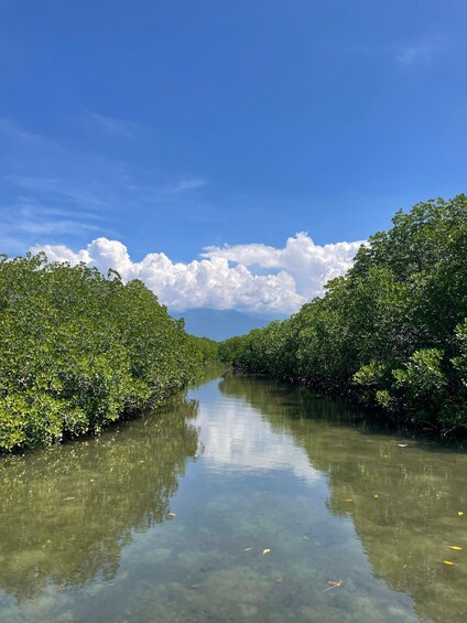 A calm river flanked by dense mangrove trees under a clear blue sky. 4