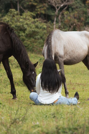 A person sitting on grass with two horses, one black and one white, in a field. 4