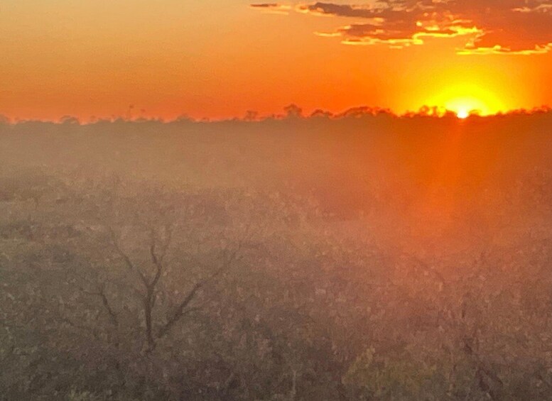 A sunset over a flat landscape with sparse vegetation. 3