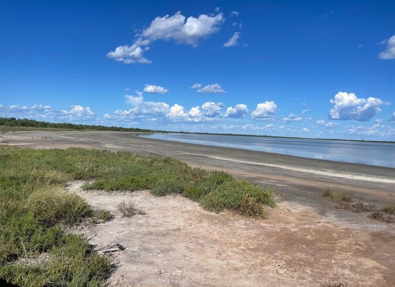 A coastal landscape with a sandy beach, grassy dunes, and a calm body of water under a clear blue sky. 1