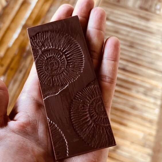 A hand holding a rectangular chocolate bar with embossed dinosaur patterns. 2