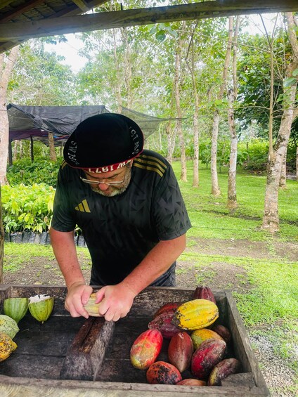 A person harvesting fruits from a wooden crate outdoors. 3