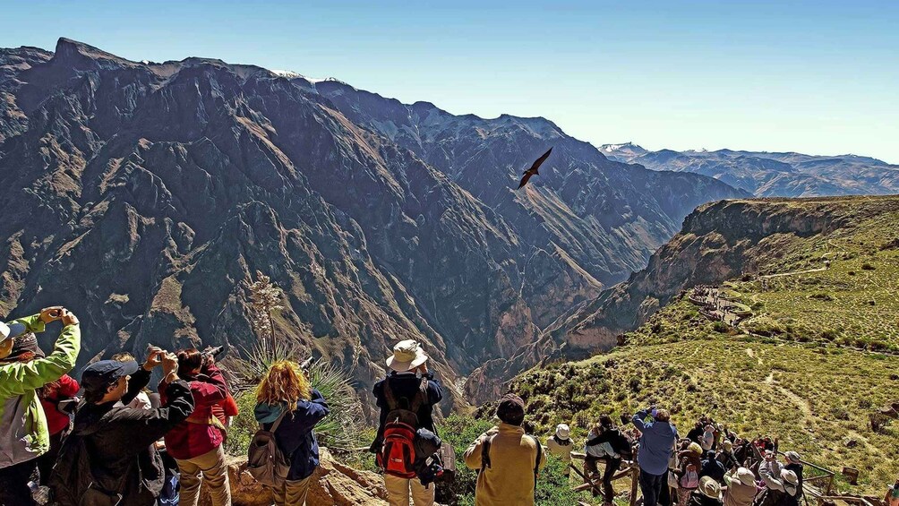 A group of people observing a bird flying over a mountainous landscape. 1