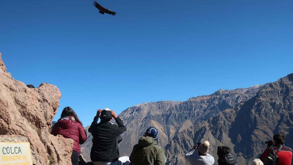 A group of people observing a bird in flight against a mountainous backdrop. 4