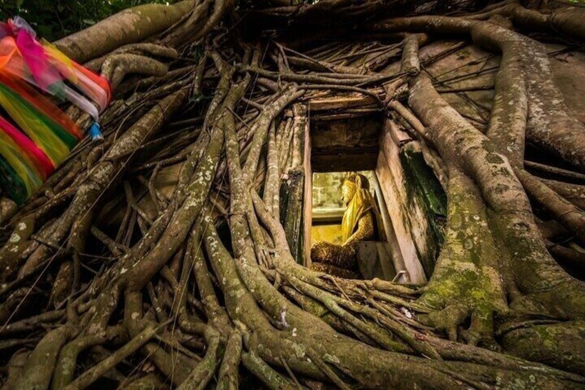 A tangled tree root system with a small opening revealing a yellow object inside. 3