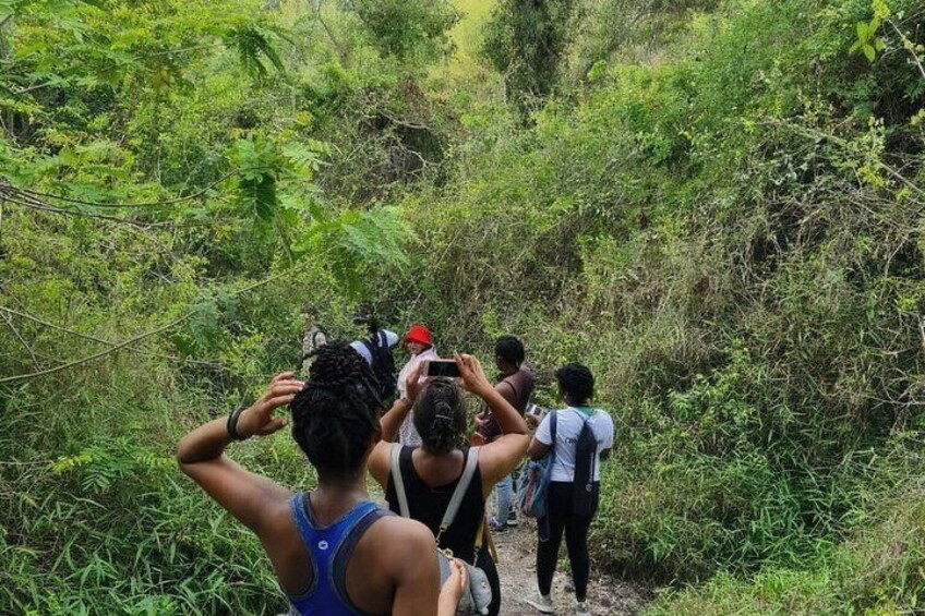 A group of people hiking through a dense forest. 3