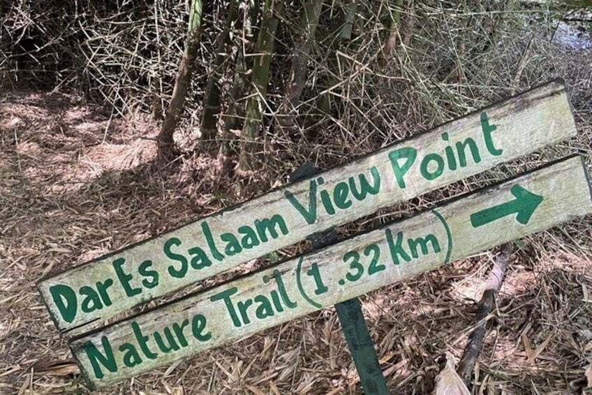 A wooden signpost with green text indicating the direction to Dares Salaam View Point on the Nature Trail, 1.32 km away. 1