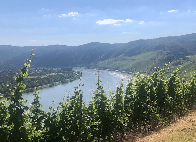 A river winding through a valley with hills in the background. 1