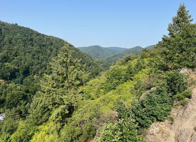 A mountainous landscape with dense green forests and rocky terrain. 3