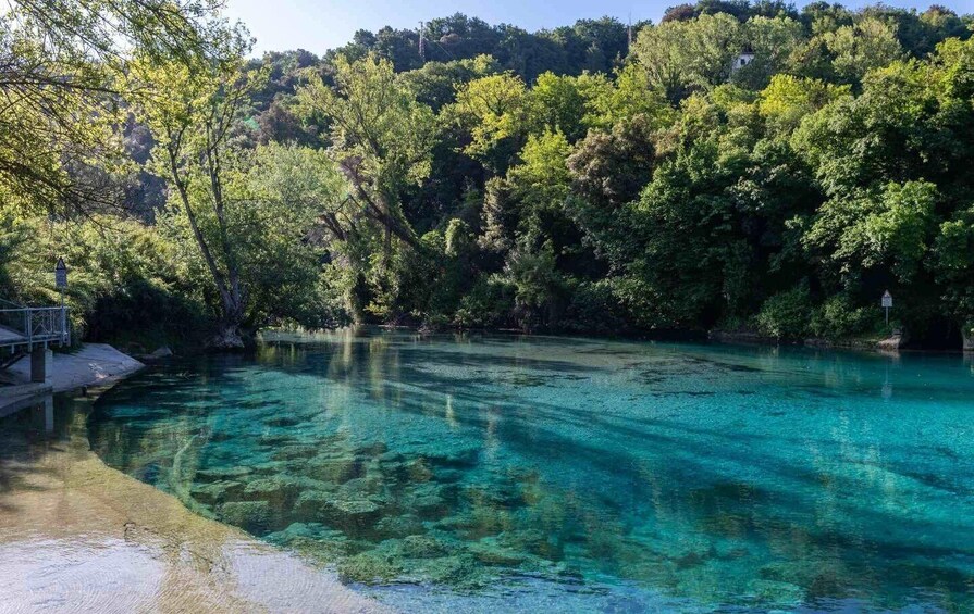 A clear turquoise river with a wooden dock on the left, surrounded by dense green forest and hills in the background. 1