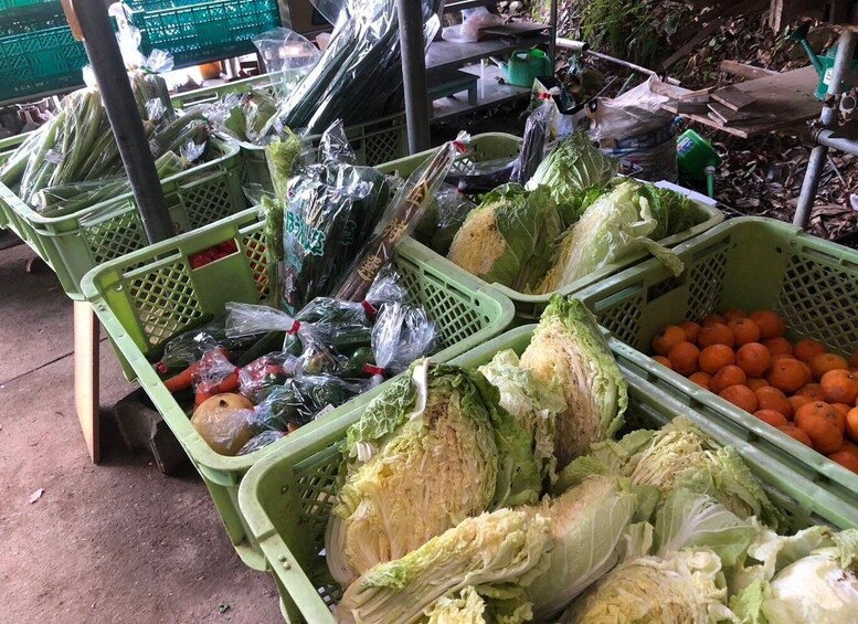 A market stall with green plastic baskets containing vegetables like cabbage and oranges. 4