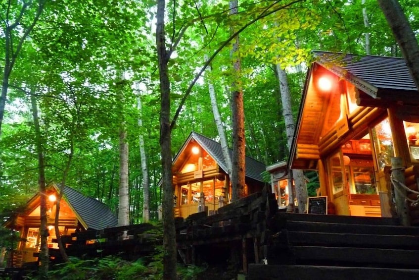 A wooden cabin with a glass facade nestled in a forest. 1