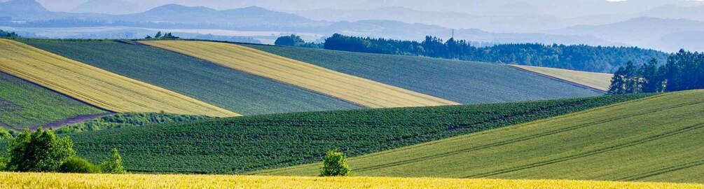 Rolling hills with alternating fields of crops, a clear sky, and distant mountains. 5