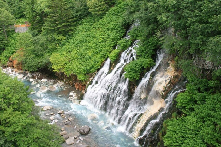 A waterfall cascading down a rocky cliff surrounded by dense green foliage. 3
