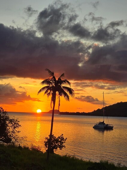 A sunset over a calm body of water with a sailboat and a palm tree silhouetted against the sky. 1