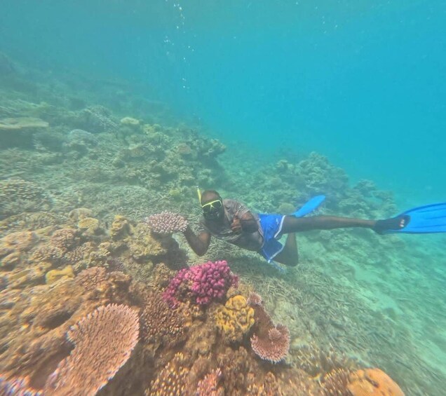 A person scuba diving near a coral reef. 3