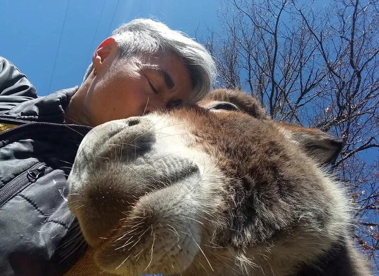 A person holding a large animal, possibly a bear, outdoors with trees in the background. 5