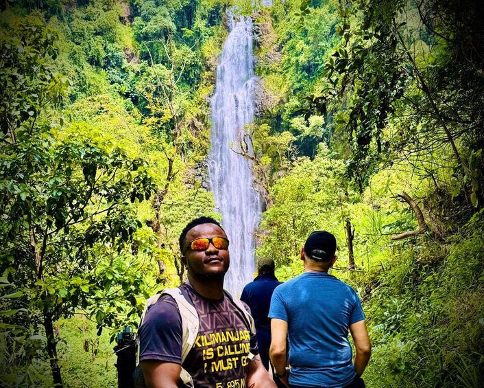 A waterfall surrounded by dense green foliage. 5