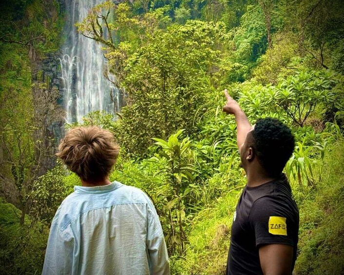 Two people standing in a lush forest with a waterfall in the background. 4