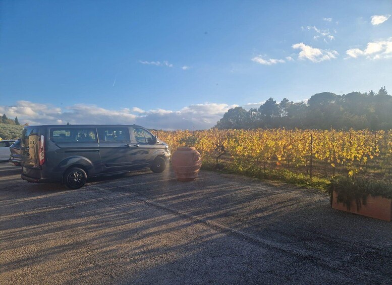 A parking lot with a vehicle and a vineyard in the background. 1