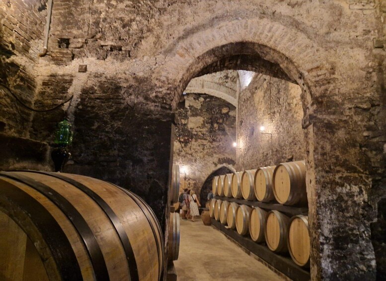 A cellar with stone walls and wooden barrels. 5